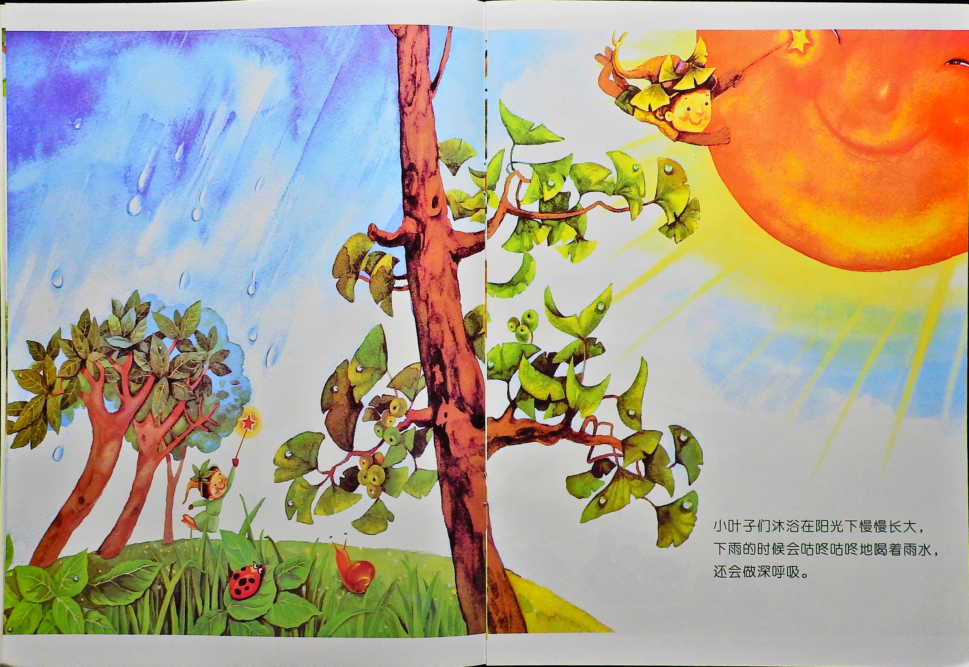 五颜六色的叶子 (04),绘本,绘本故事,绘本阅读,故事书,童书,图画书,课外阅读